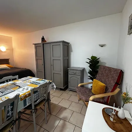 Entre Centre-ville Et Thermes Avec Jardin Et Wifi - Fr-1-541-116 *