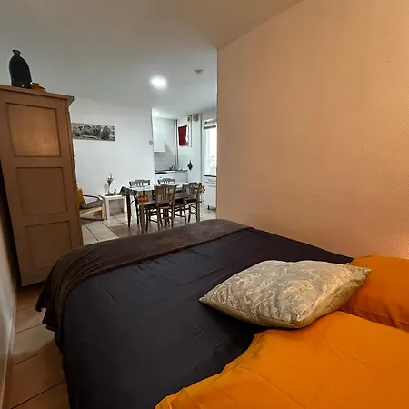 Entre Centre-ville Et Thermes Avec Jardin Et Wifi - Fr-1-541-116