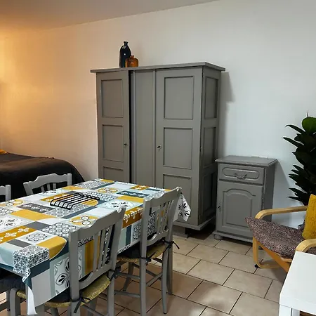 Entre Centre-ville Et Thermes Avec Jardin Et Wifi - Fr-1-541-116 アパート *