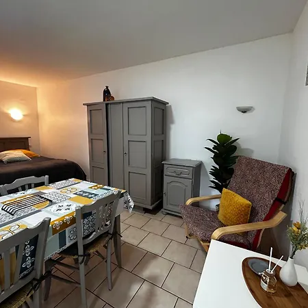 Entre Centre-ville Et Thermes Avec Jardin Et Wifi - Fr-1-541-116