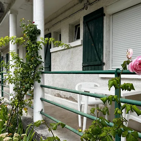Entre Centre-ville Et Thermes Avec Jardin Et Wifi - Fr-1-541-116 アパート